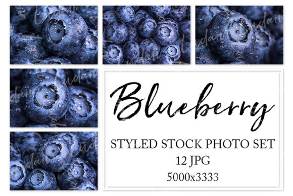 Download Blueberry. Styled Stock Photo Set - Styled Collection